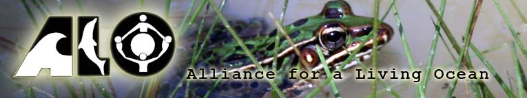 Alliance for a Living Ocean