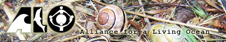 Alliance for a Living Ocean